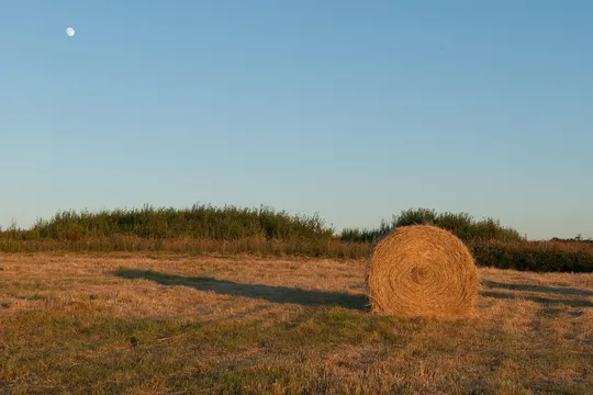Zakup butów taktycznych na lato