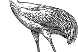 zapady napięcia