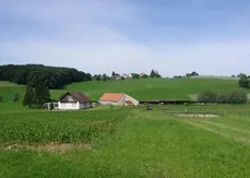 domowy sprzęt do ćwiczeń