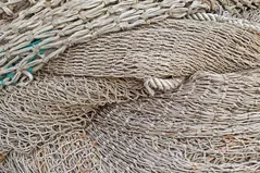 polecana siatka leśna od producenta