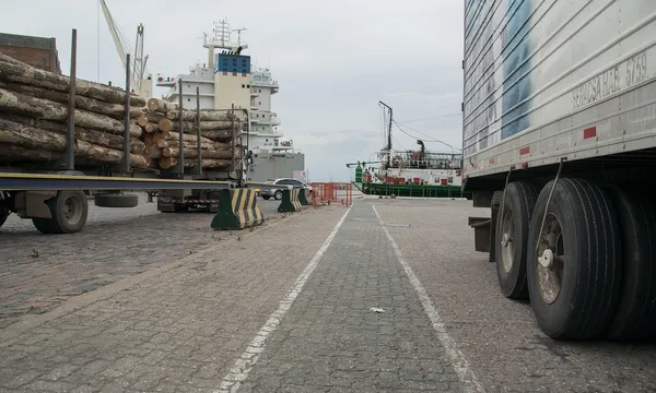 Najlepsze dźwigi do portu