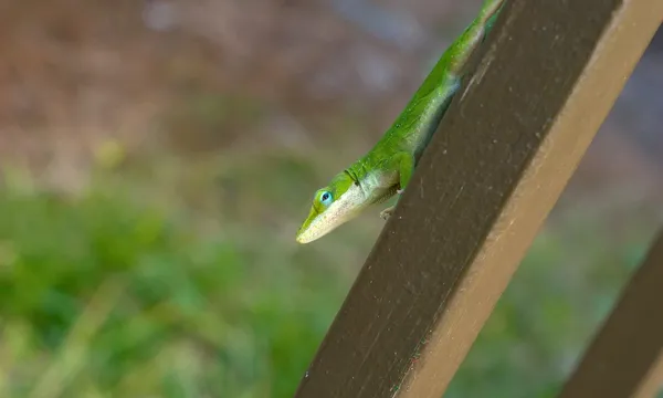Do sklepu sprowadziłem nową wagę