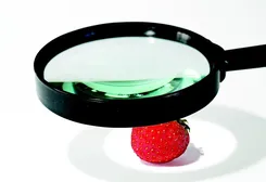 badanie flory bakteryjnej jelit