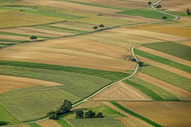 Najlepsza działka rolna na sprzedaż