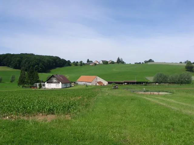 Domowy sprzęt do ćwiczeń na magazynie