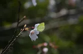 polecany sklep z kuszami