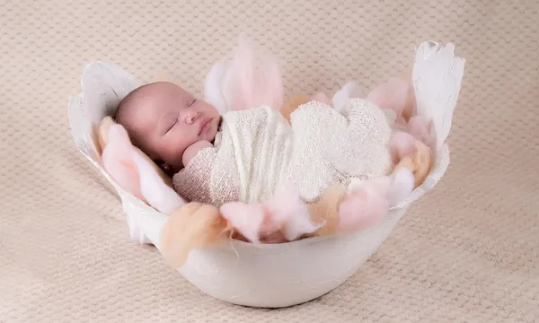 Rodzaje i wybór paneli ściennych